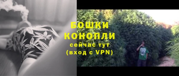 сатива Пестово